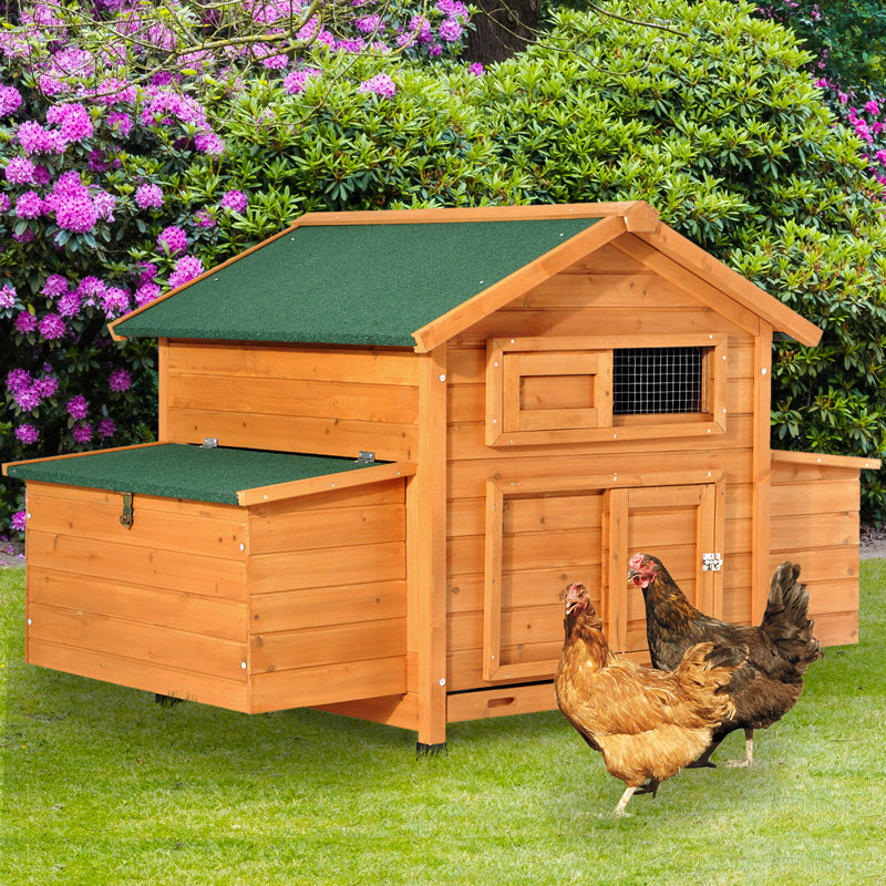 Tucker Murphy™ Pet Grimmett Wood Chicken Coop with Nesting Box Wayfair.ca